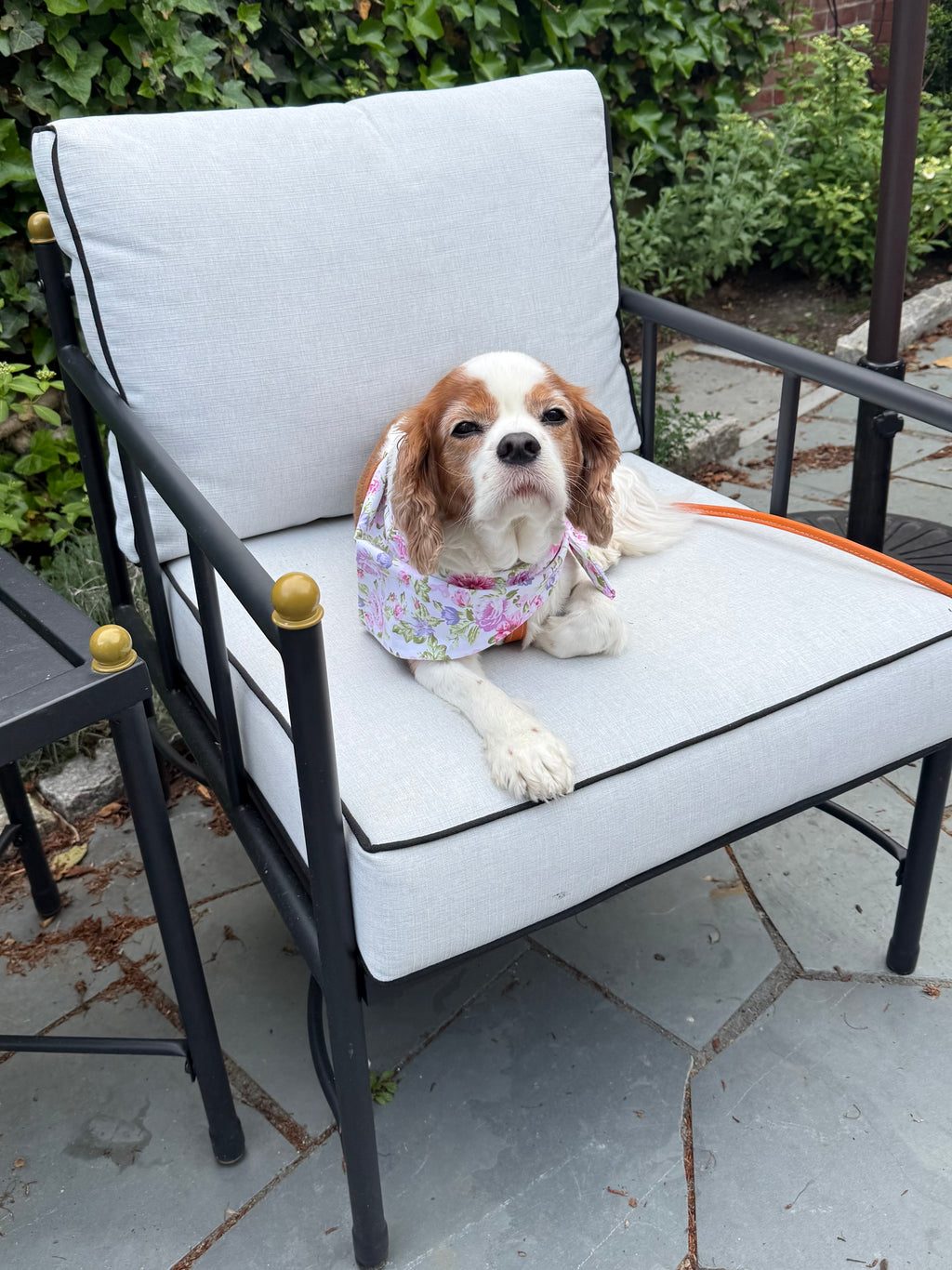 New England floral hand made dog bandana