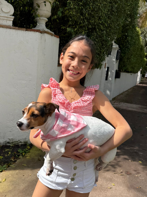 Pink gingham hand made dog bandana