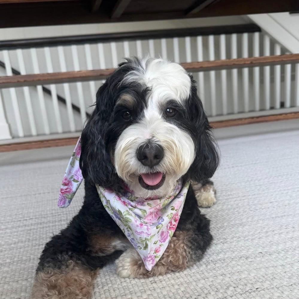 New England floral hand made dog bandana