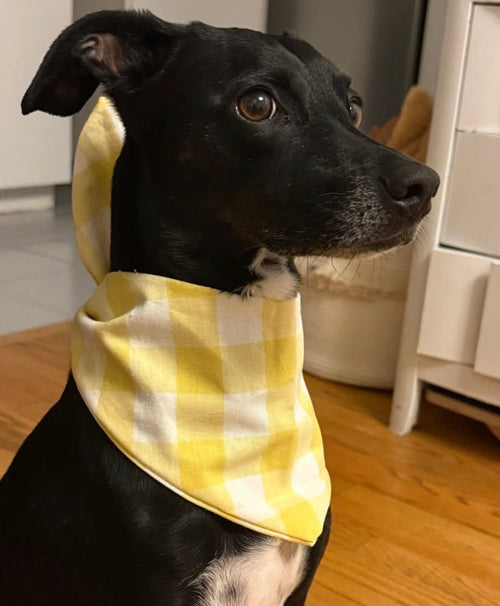 LIMITED EDITION Sunshine yellow gingham hand made bandana