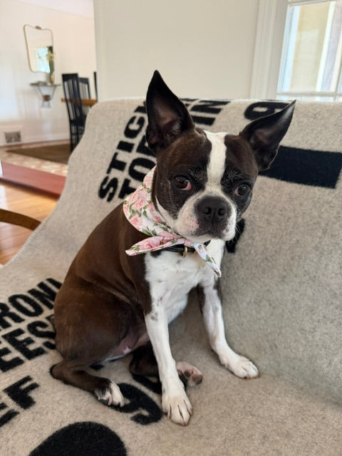 Garden rose hand made dog bandana