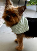 Green gingham hand made dog bandana